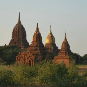 1917736_248302673501_7687135_n-sq