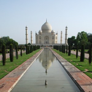 taj-sq
