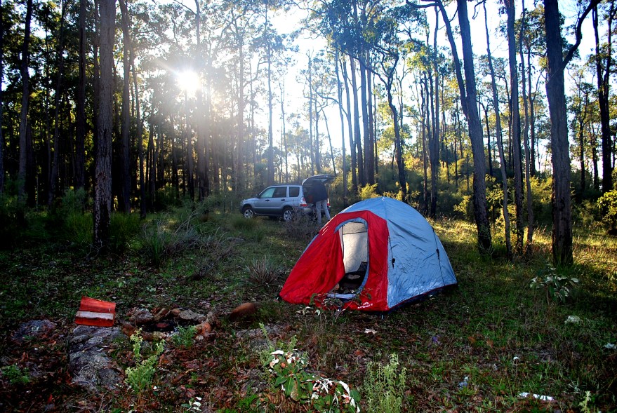 architect-engineer camp